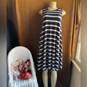 The Limited Blue and White Sleeveless A-Line Dress